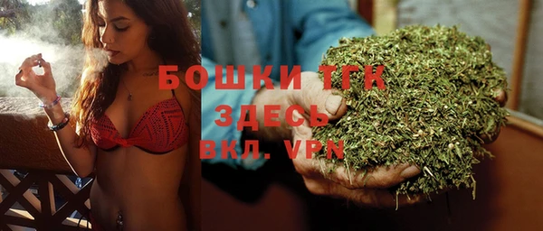 альфа пвп Медногорск