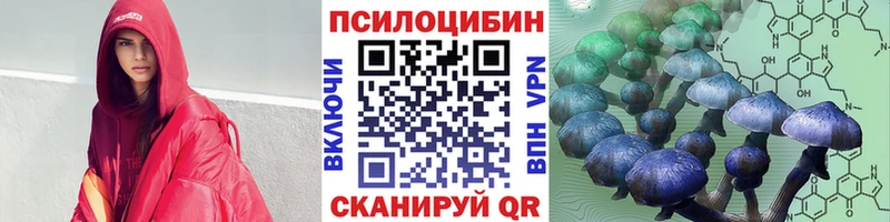 Купить  Кирово-Чепецк  Псилоцибиновые грибы Cubensis 